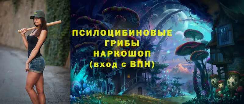 где найти   Лыткарино  Галлюциногенные грибы MAGIC MUSHROOMS 